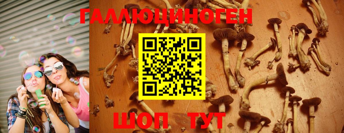 Псилоцибиновые грибы мухоморы  Вход с VPN  Будённовск  Галлюциногенные грибы прущие грибы 